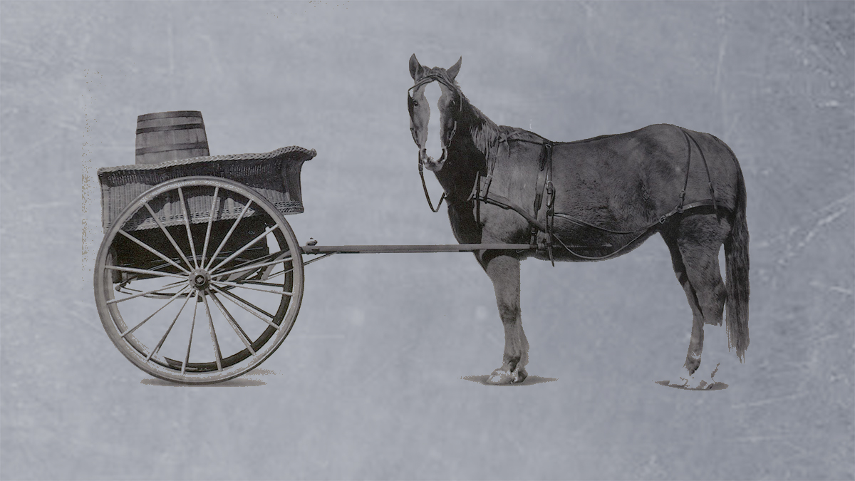 21609-cart-horse