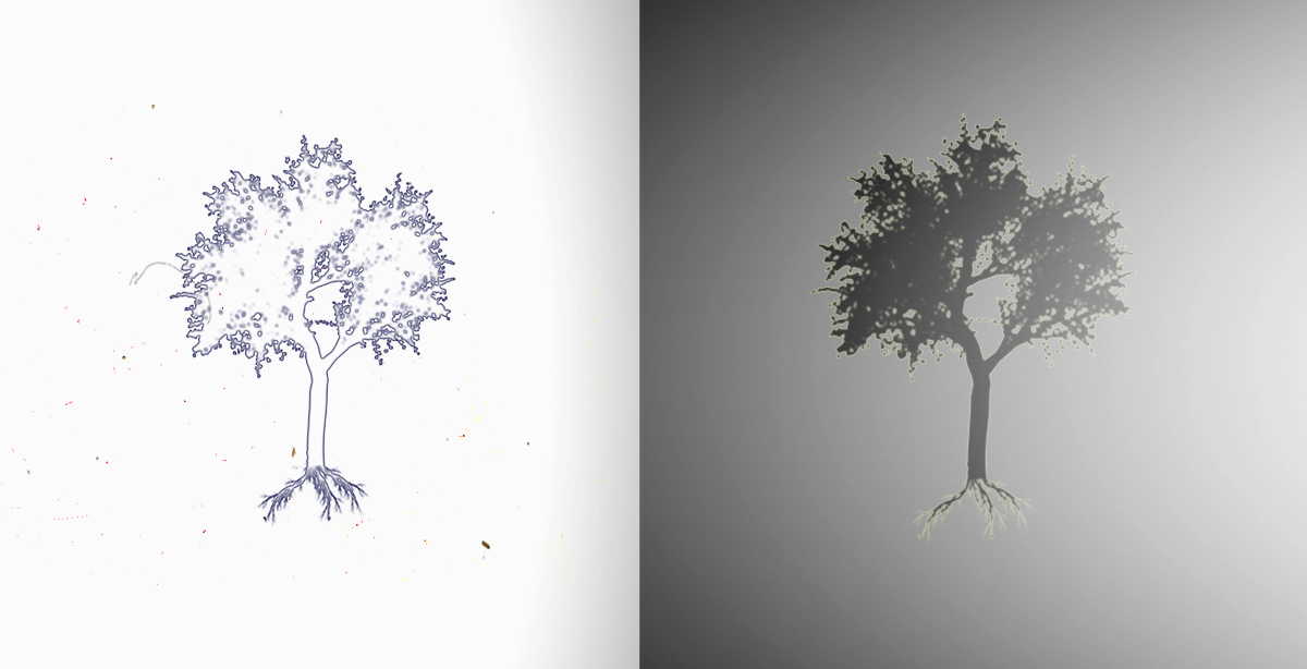 22103-trees