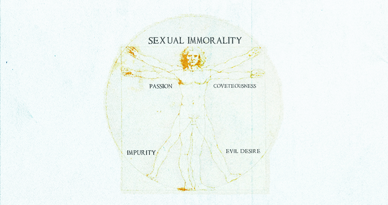 37951-anatomy