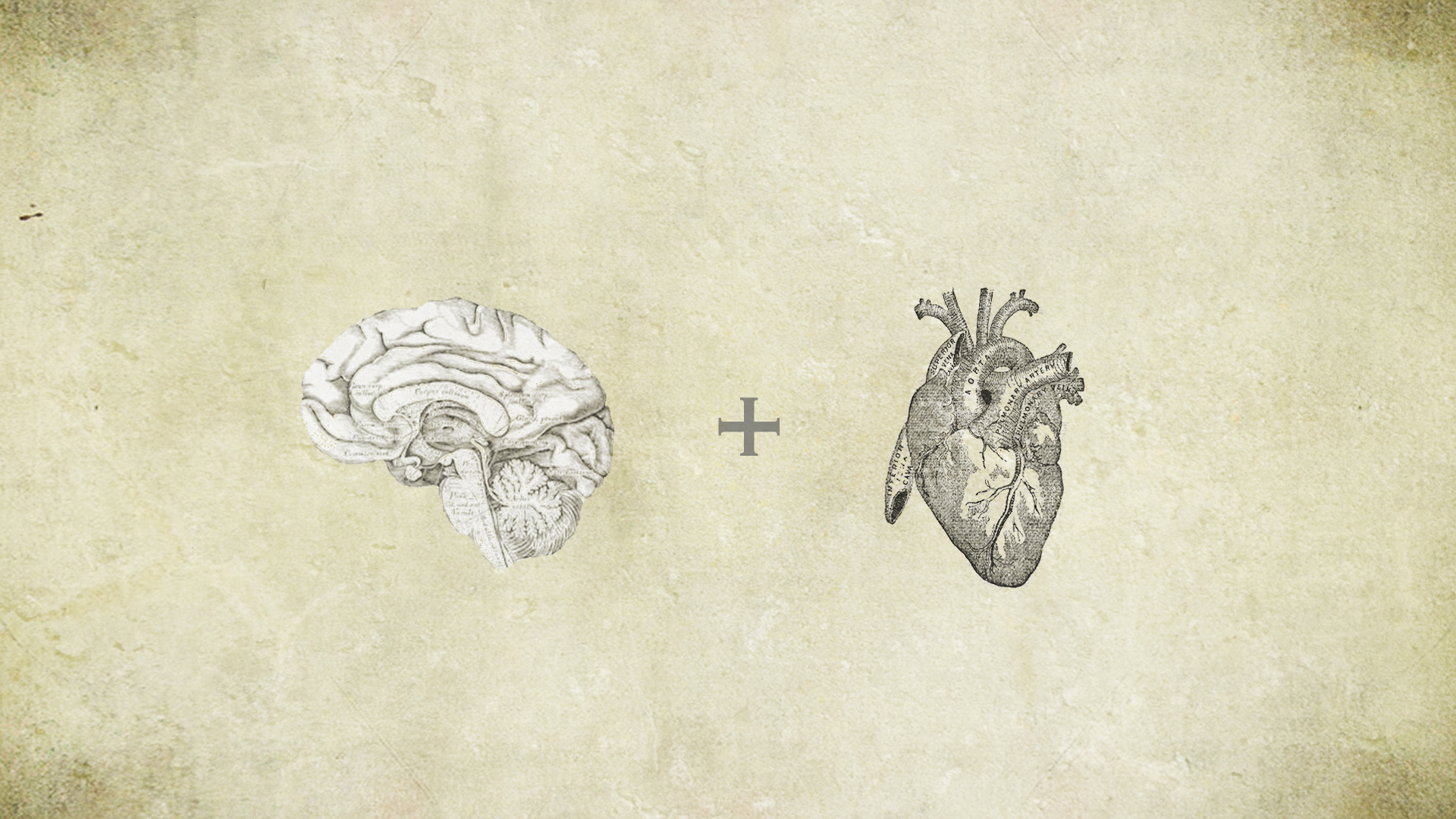 39831-mind-and-heart