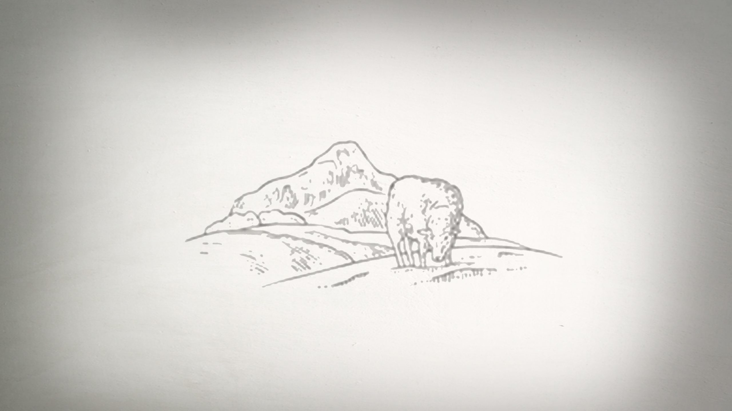 44020-sheep