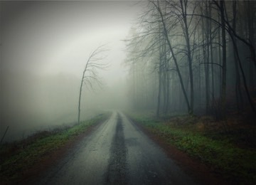 foggy_road_resized