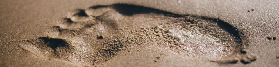 foot_print_17