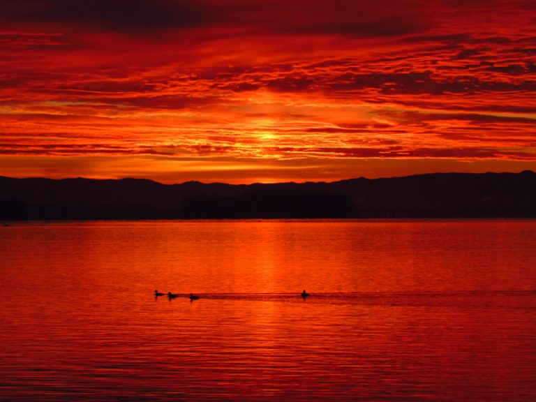 sun_set