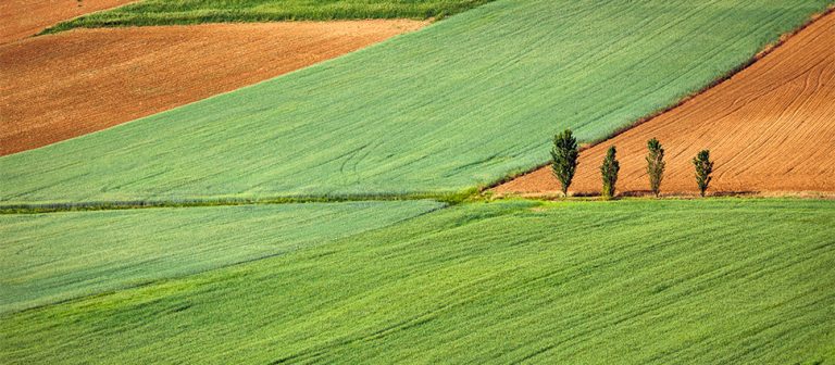 agro_970_425