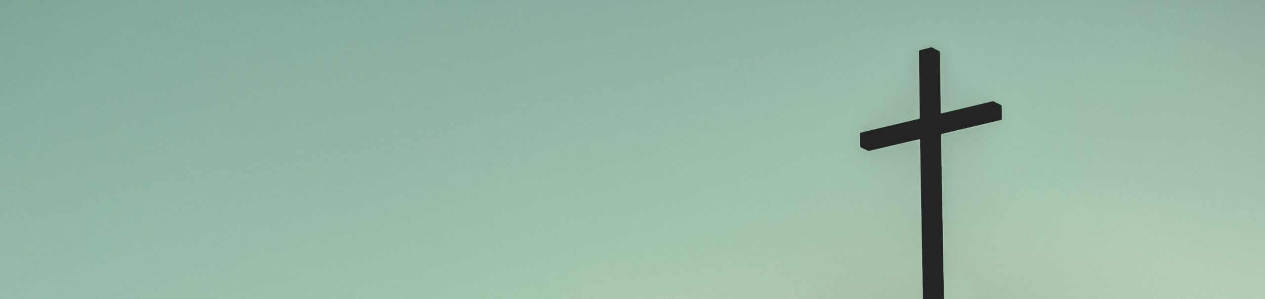 mtp_banner_cross