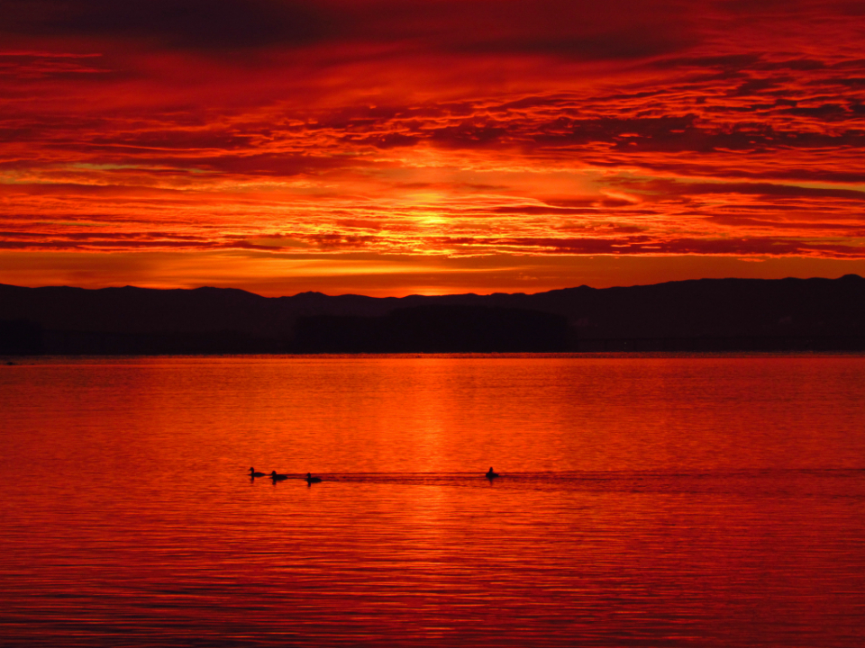 sun_set