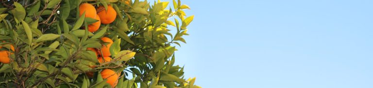 mtpbanner_eternallife