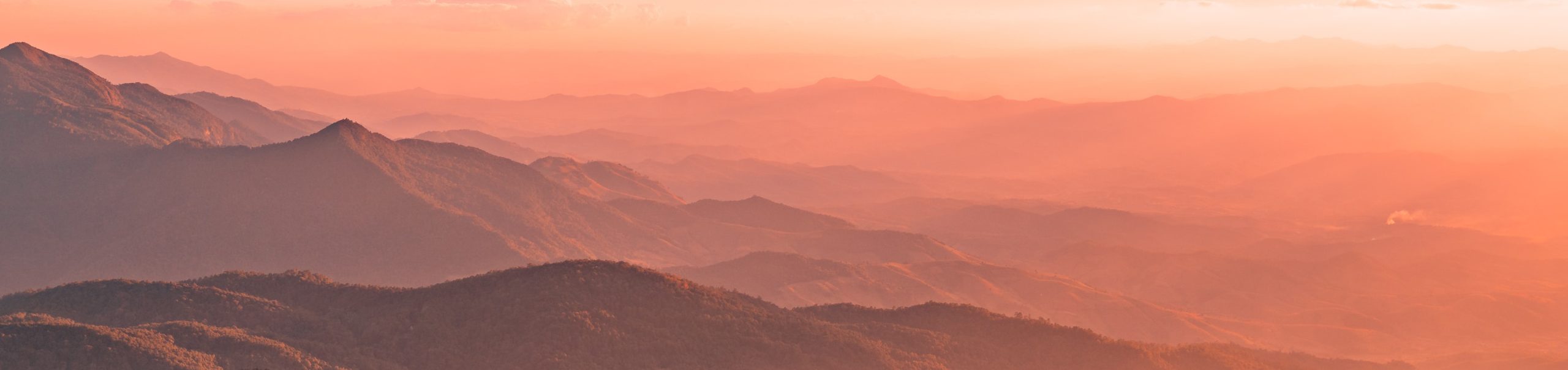 mtpbanner_peace