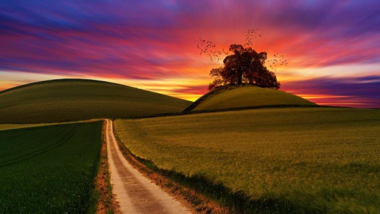 green-field_mxy858bldh
