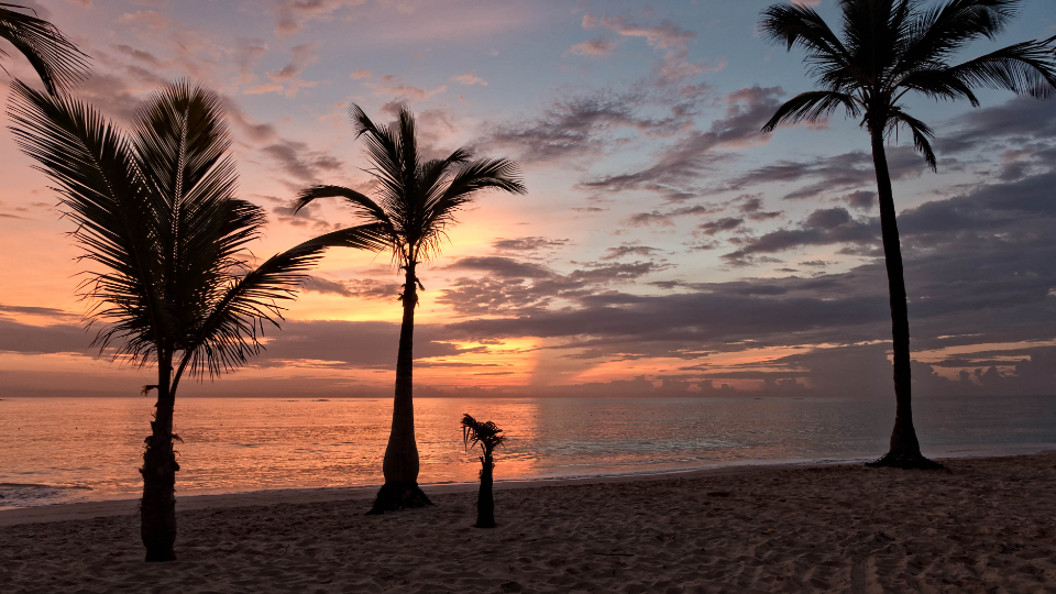tropical-beach_hbizzdrveb