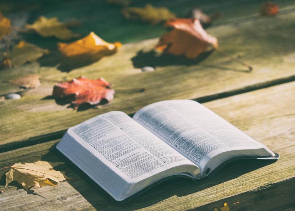 bible-book_c9e7b4u7qy