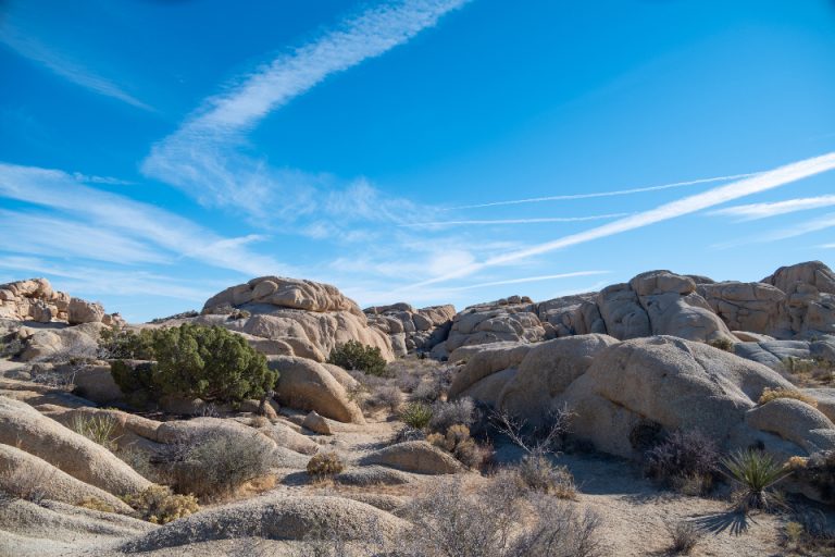 desert