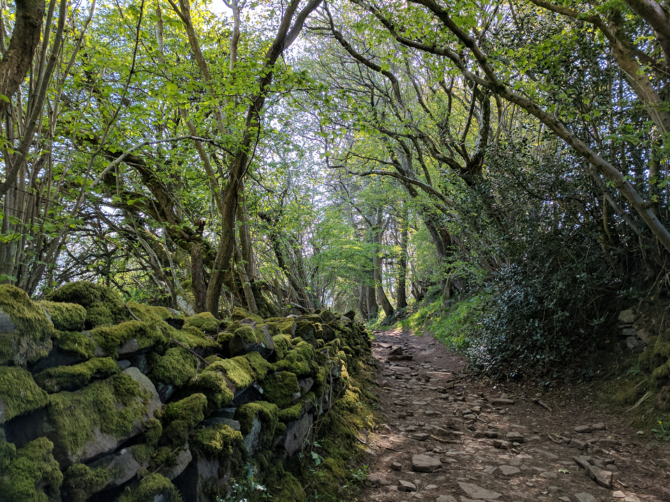 wales-wall_fwn62iv29a