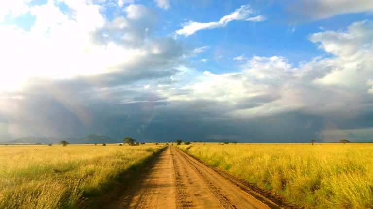 africa-serengeti_72amix2ktz