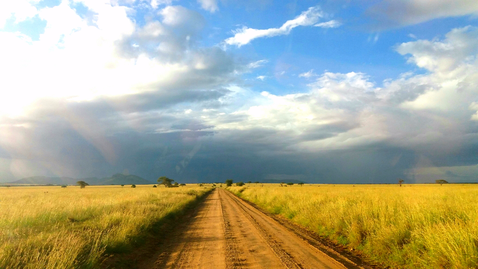 africa-serengeti_72amix2ktz