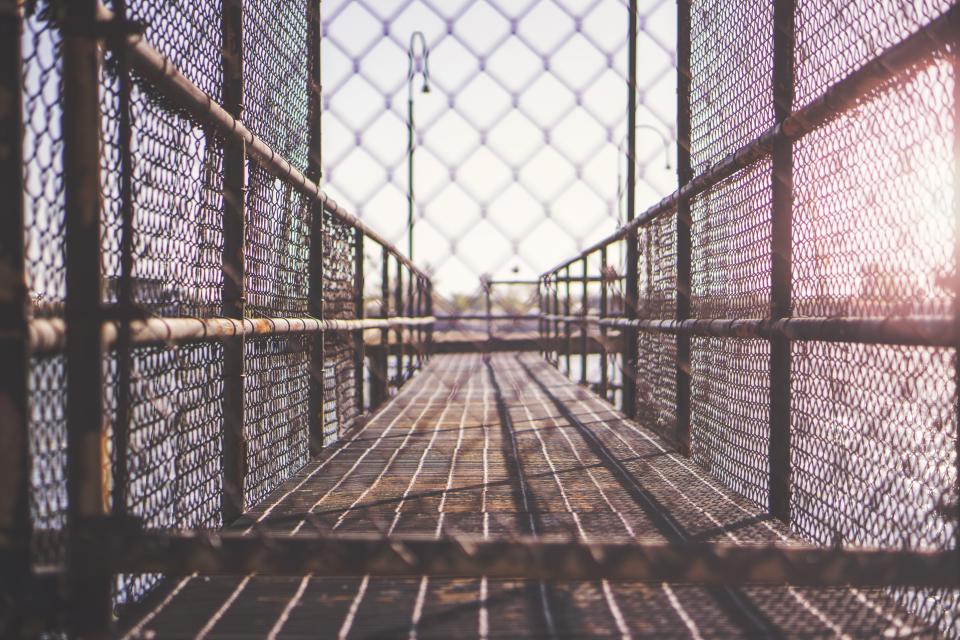 fence-cage_de4bfb437c