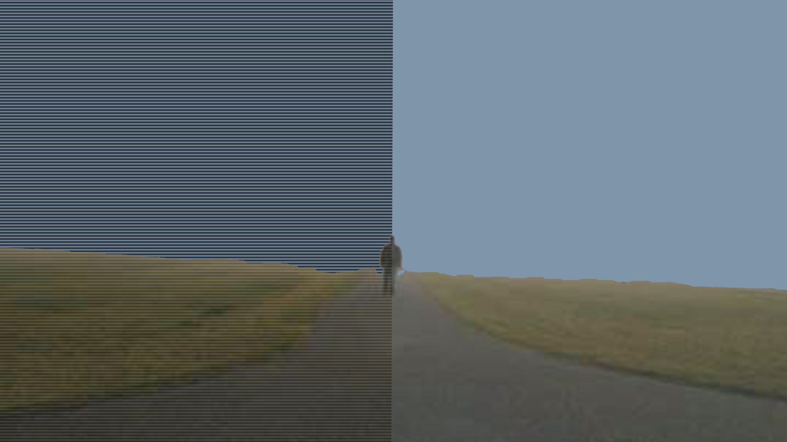 21895-walkign-down-road