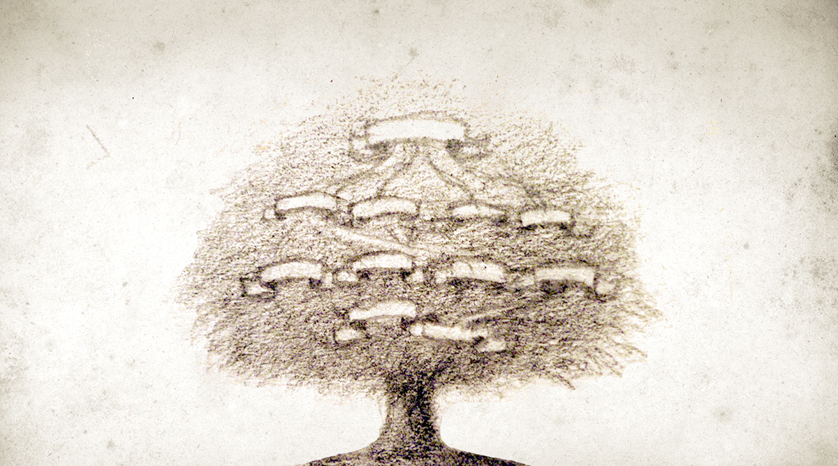 22032-spiritual-tree