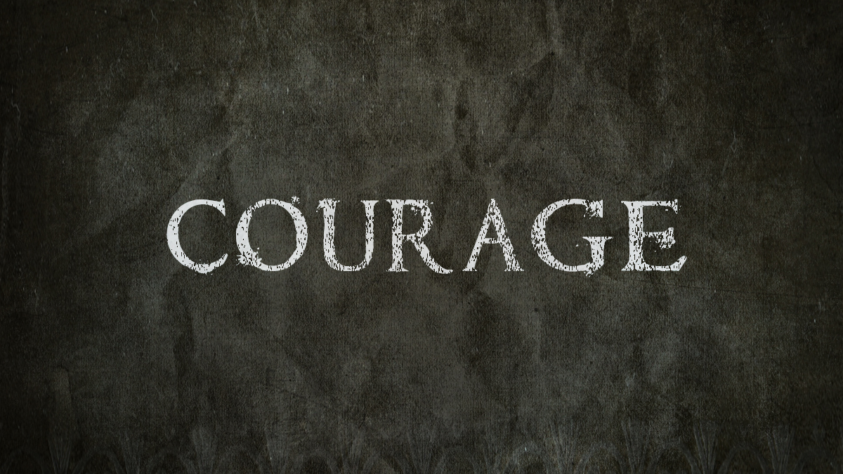22171-courage