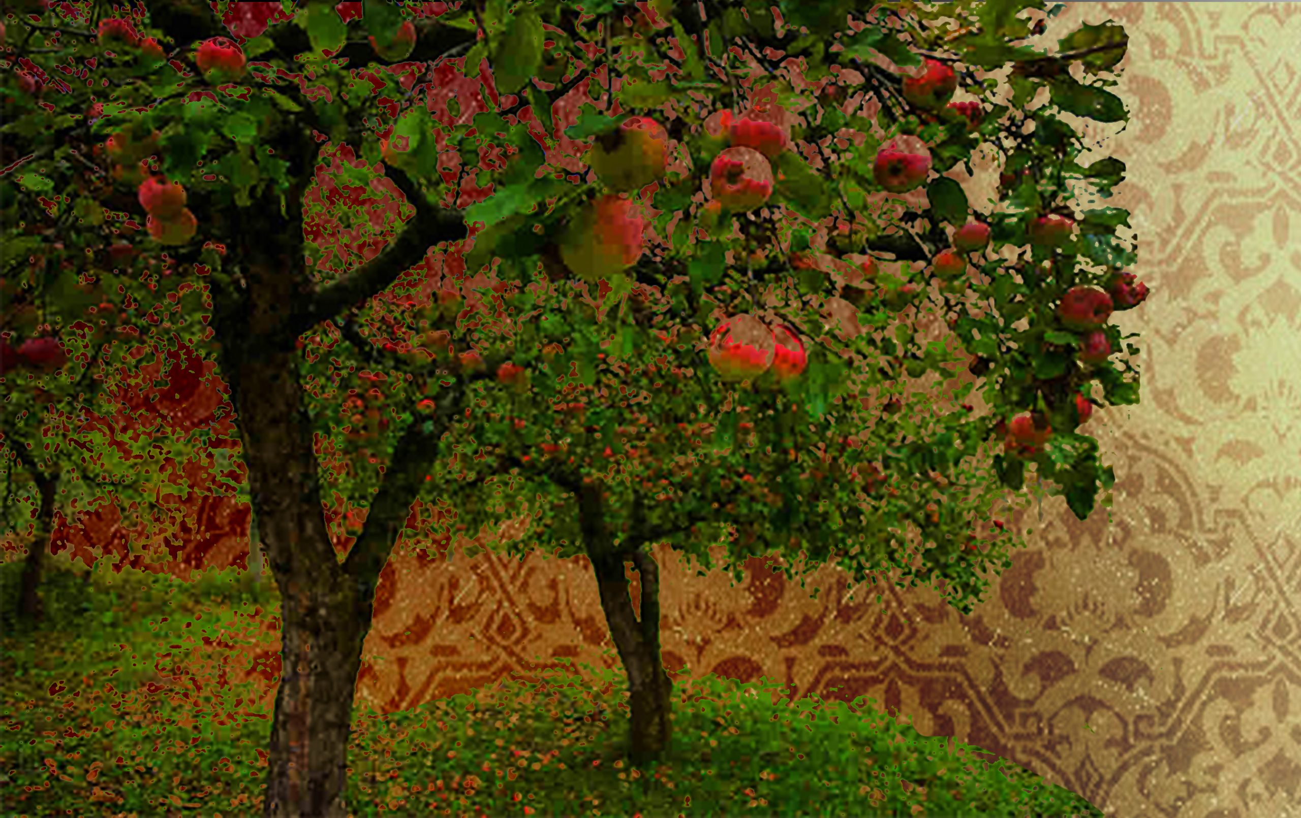 23353-garden