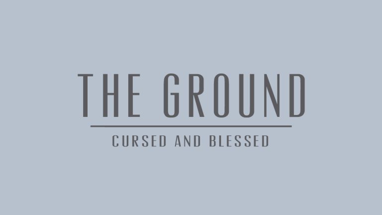 36441-the-ground