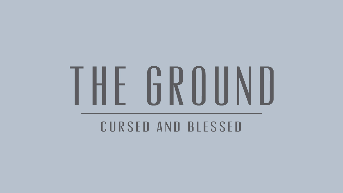 36441-the-ground
