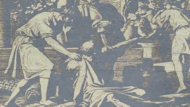 38027-noah-raw-parts