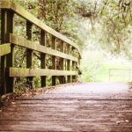 bridge_in_woods_resized