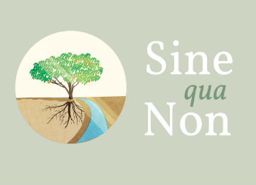 sqn-dkgray-b_resized_3