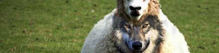 wolf_sheep_clothing