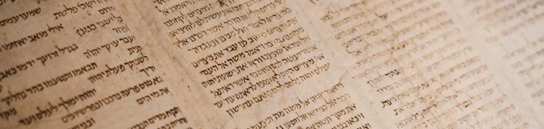 mtpbanner_notunderlaw