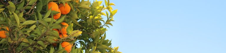 mtpbanner_eternallife