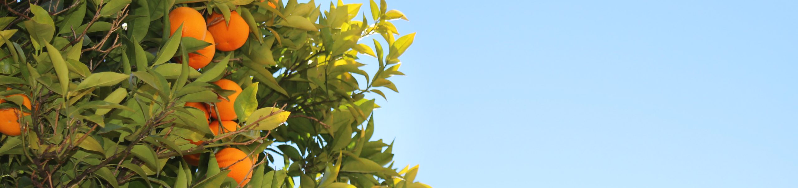 mtpbanner_eternallife