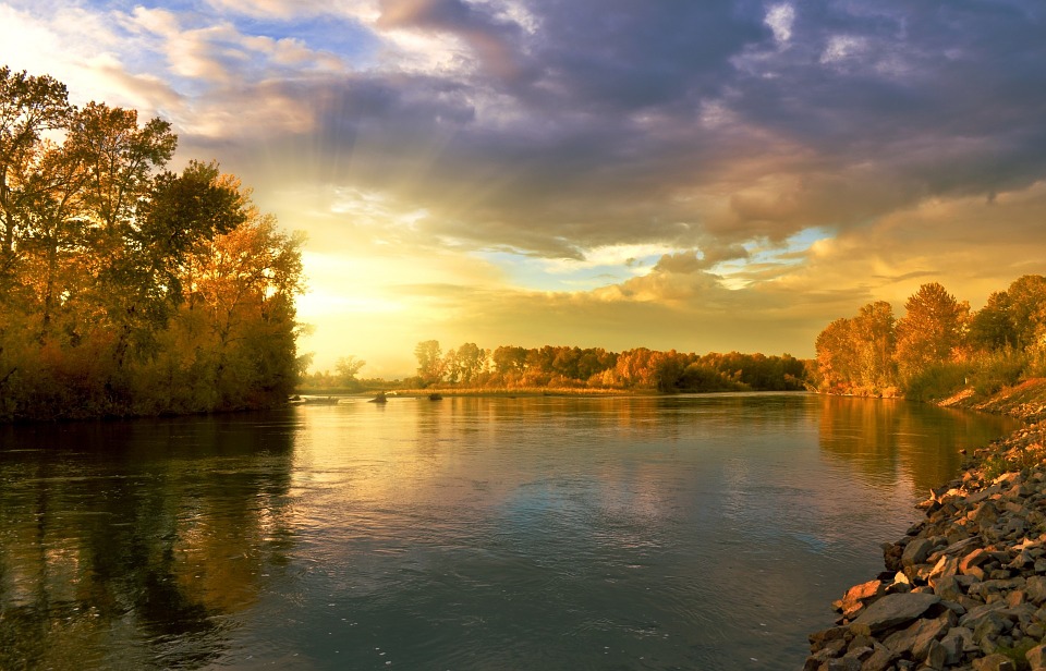autumn-219972_960_720