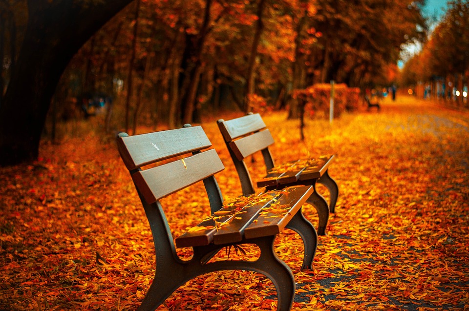 benches-560435_960_720