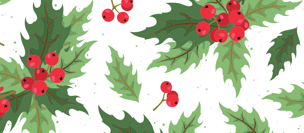 drupal7_sh_970x425px