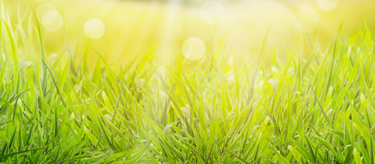 update_drupal7_sh_970x425px