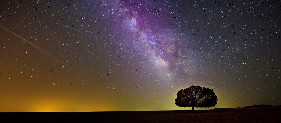galaxy_tree_970_425