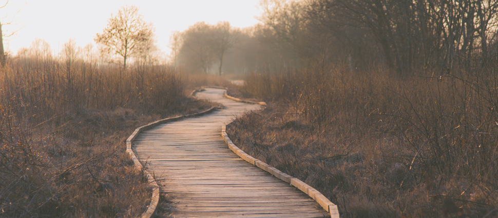 walking_in_old_paths_-_970x425