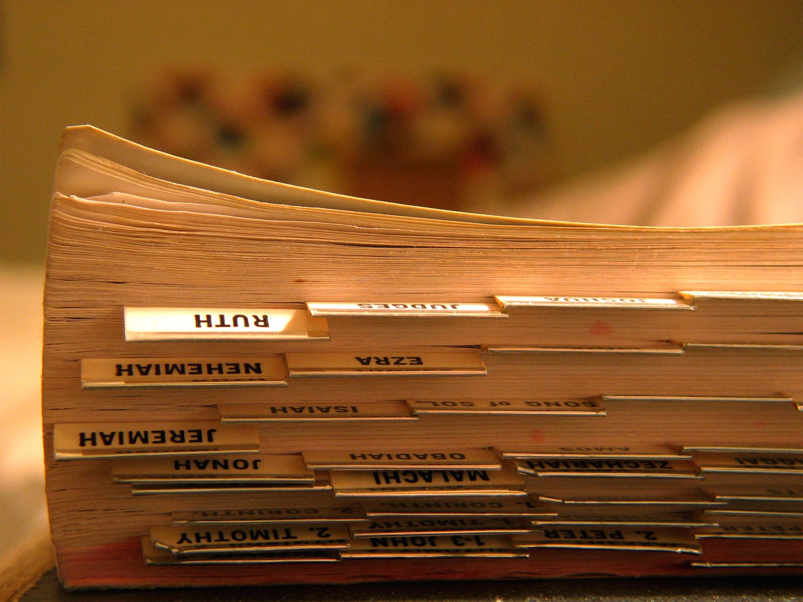 bible-perspective-3-1530031