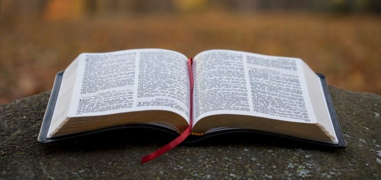 bible page on gray concrete surface